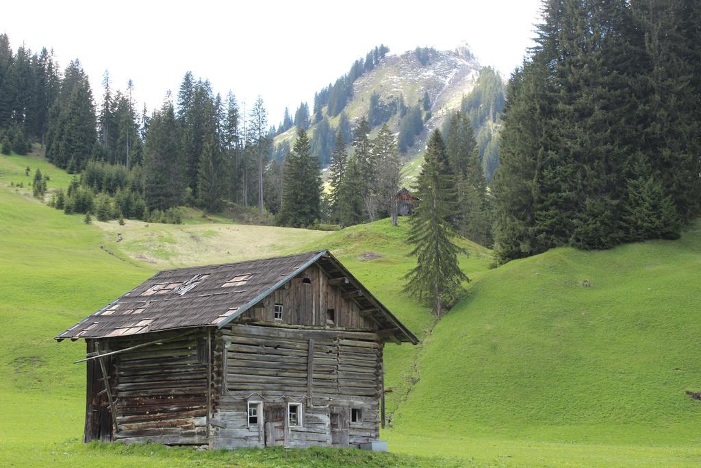 Alpenhotel Widderstein Міттельберг Екстер'єр фото